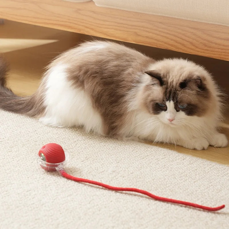 TurboPaw Rechargeable Smart Rolling Ball for Pets